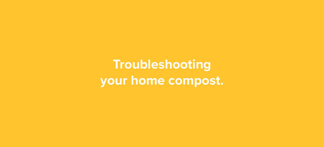 Troubleshooting your home compost.