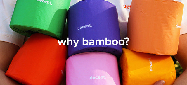 Our Toilet Paper is Tree-Free, but why?