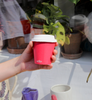 decent Hot Cup - Single Wall - Magenta